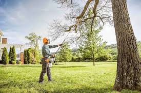 Best Lawn Mowing  in Crocker, WA