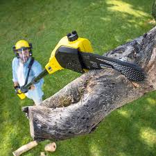 Best Weed Control  in Crocker, WA