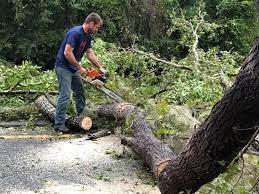Best Utility Line Clearance  in Crocker, WA