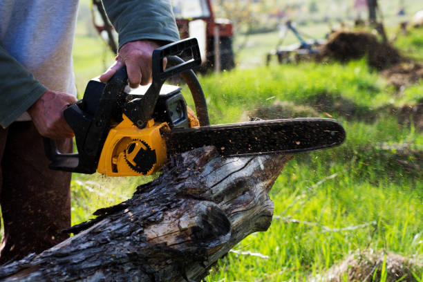 Crocker, WA Tree Care Company